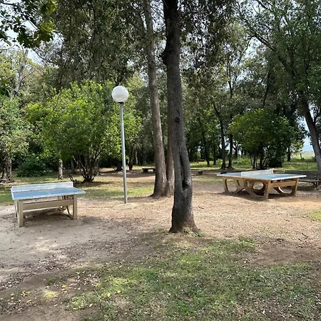 Nyaraló Maria *